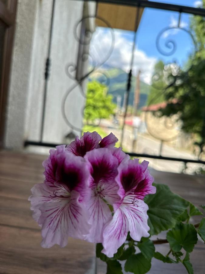 فندق Bala'S House ميستيا المظهر الخارجي الصورة